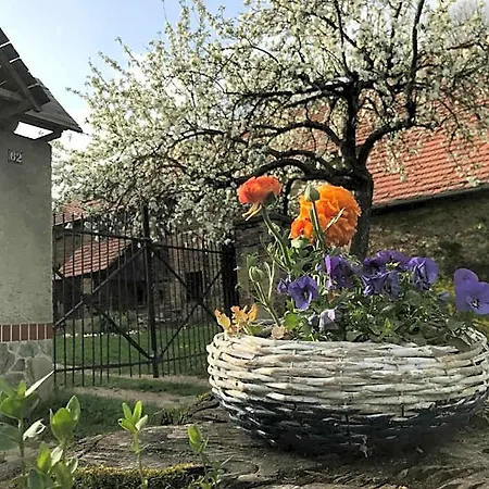 Dom Piwowara Schreiberhau